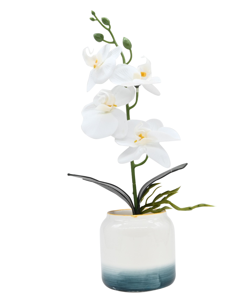 Artificial Boat Orchids with Pot