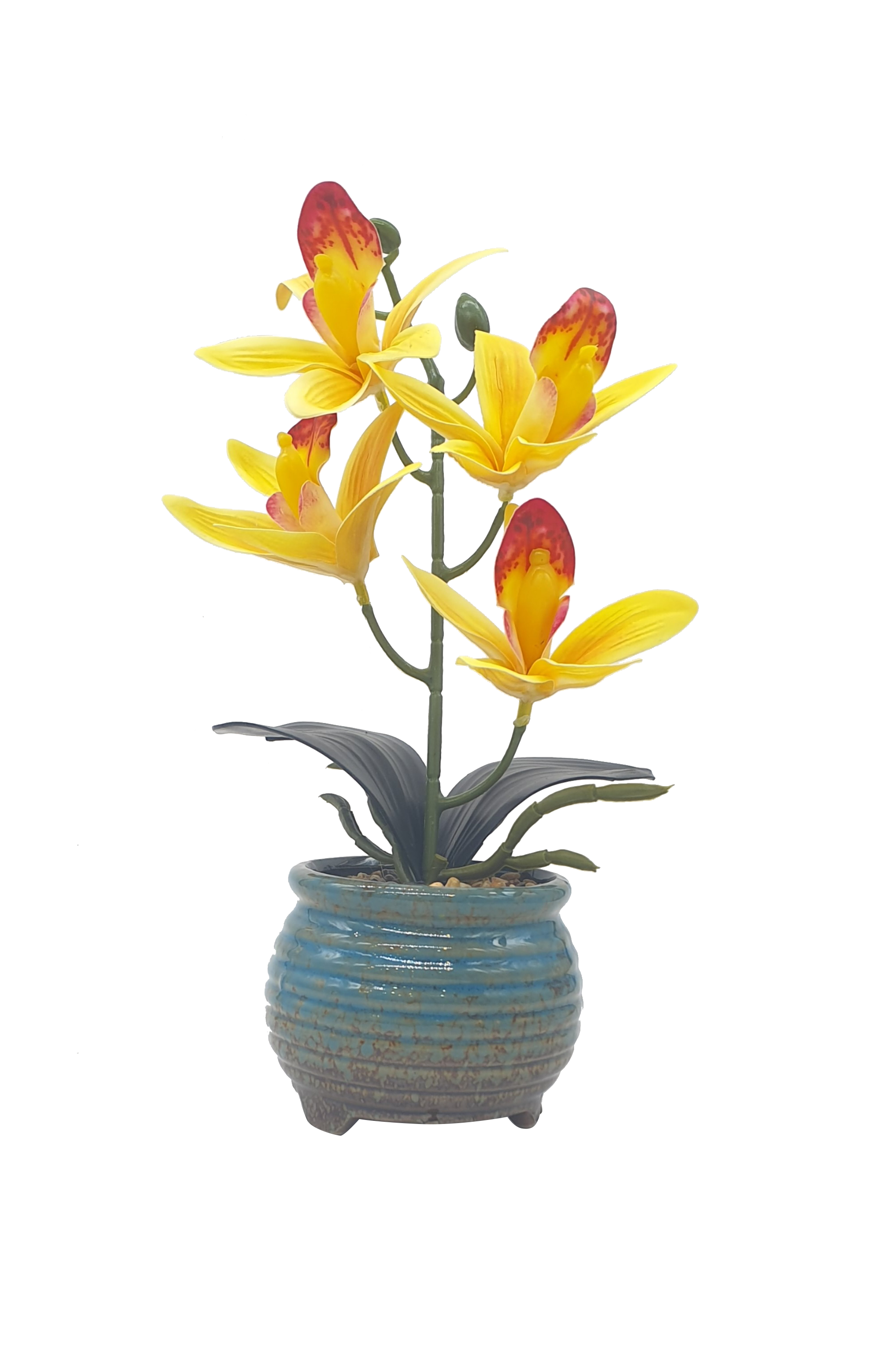 Sailing Silk Orchid