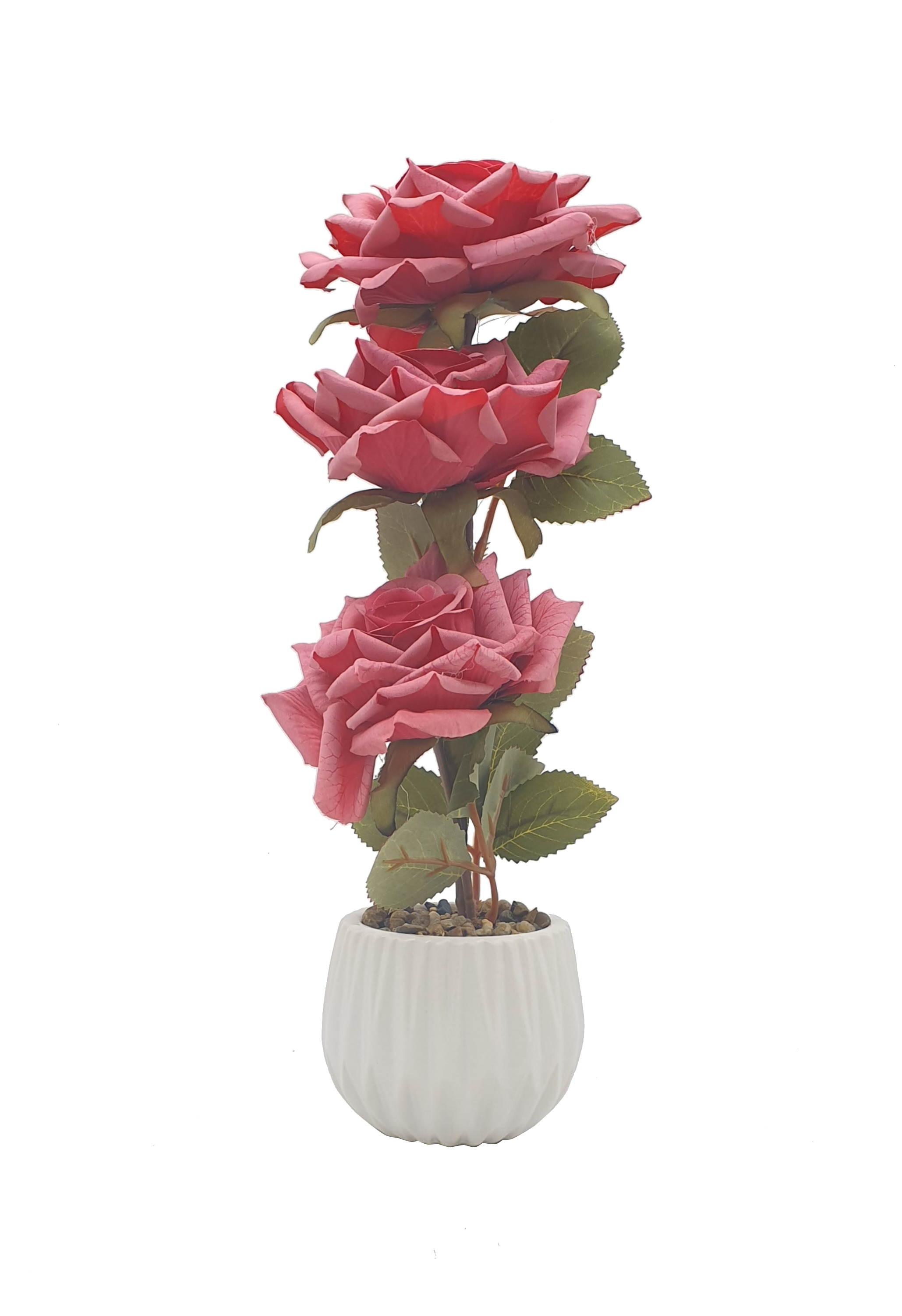 Ruffled Rose Plant