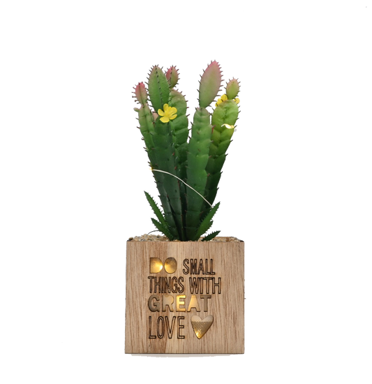 Cactus Pot Planter