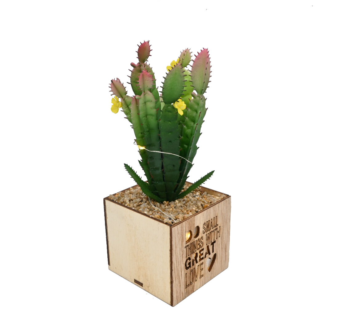 Cactus Pot Planter