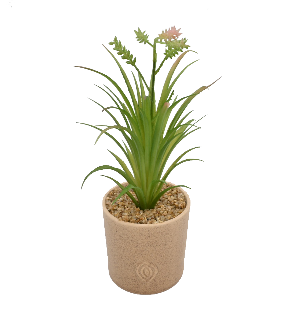 Artificial Aloe in Concrete Pot