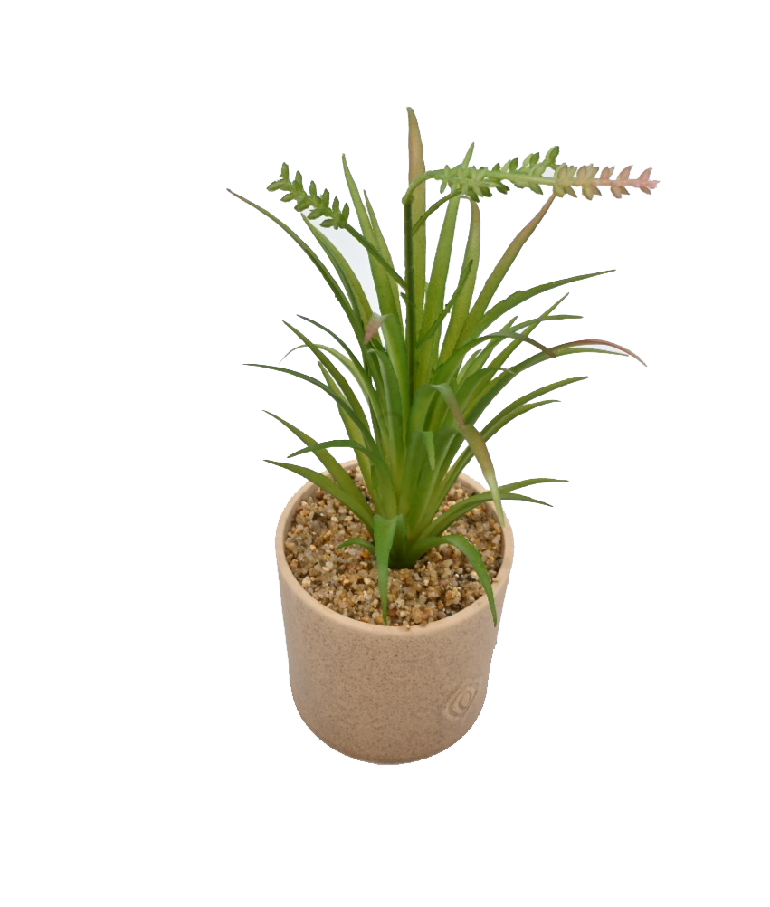 Artificial Aloe in Concrete Pot