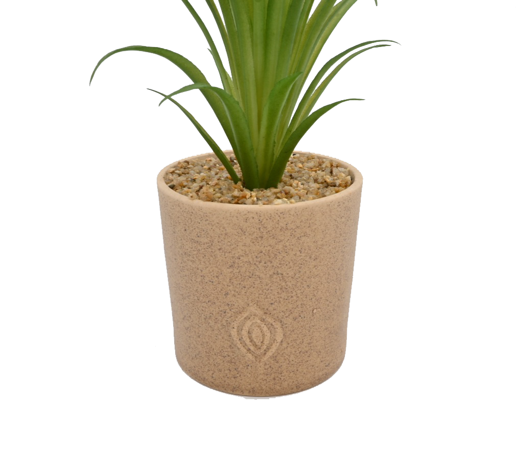 Artificial Aloe in Concrete Pot