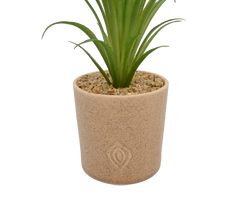 Artificial Aloe in Concrete Pot