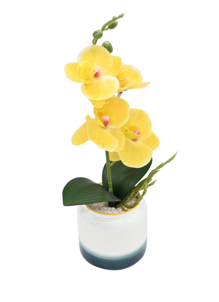 Artificial Boat Orchids with Pot