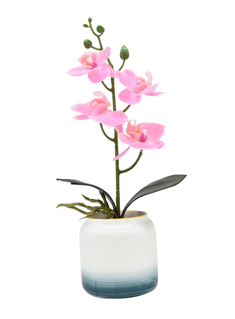 Artificial Boat Orchids with Pot