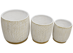 Hive Design Ceramic Flower Pots (3 Pcs Set)