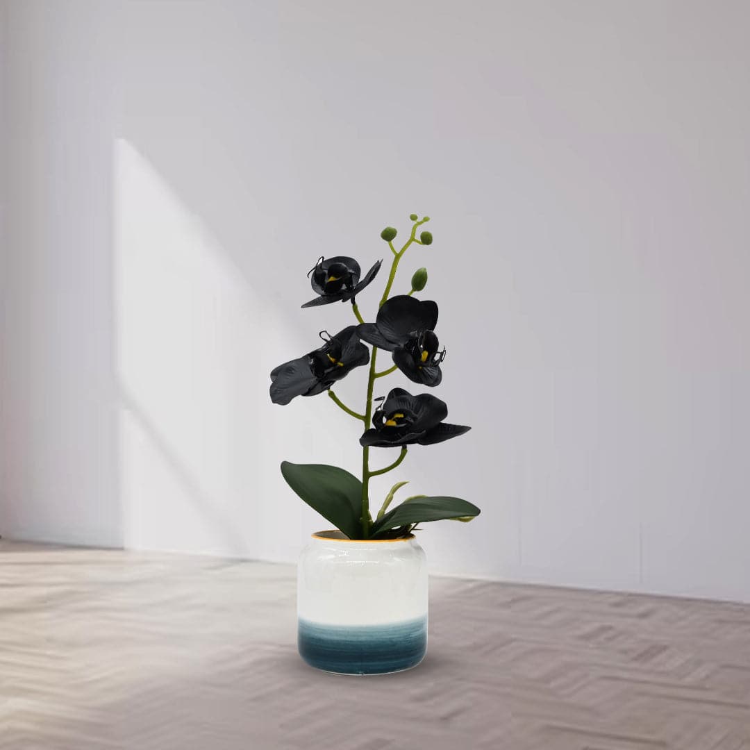 Artificial Boat Orchids with Pot