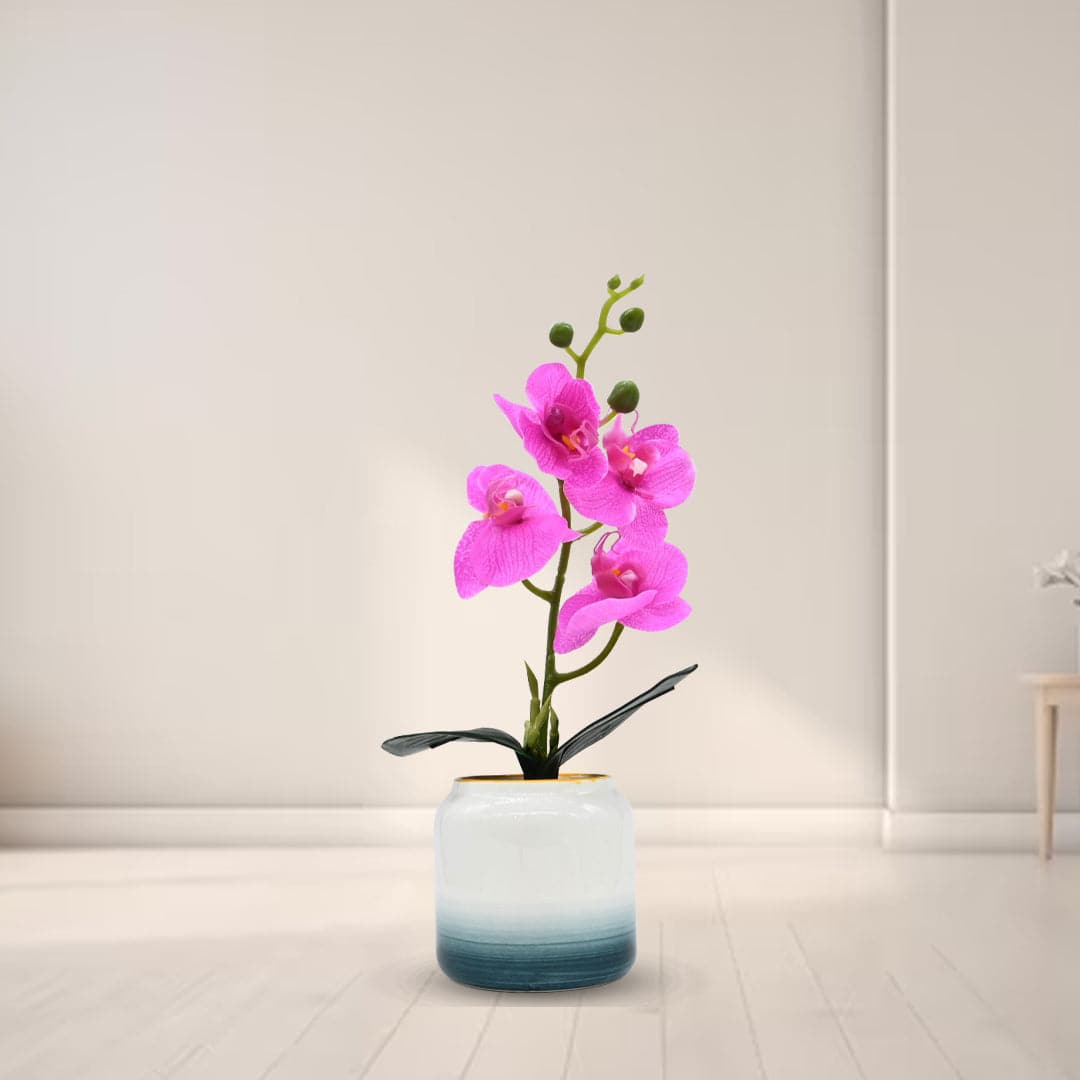 Artificial Boat Orchids with Pot