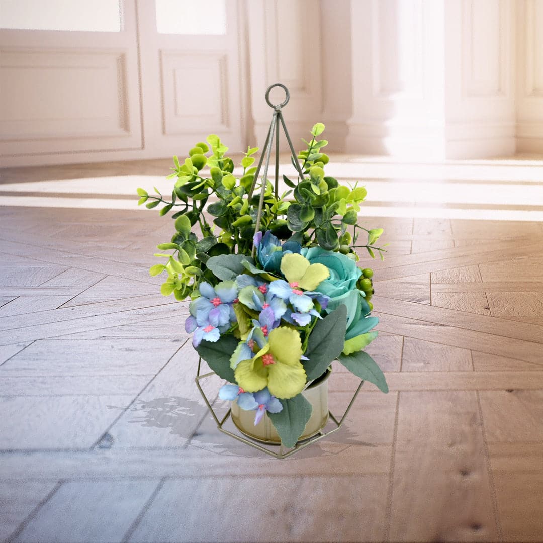 Hydrangea Potted-Multi Color