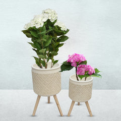 White Tripod styled Flower Pots (2 Pcs Set)