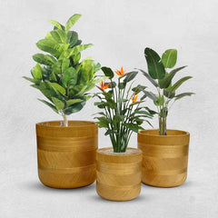 Golden Round Ceramic Flower Pot