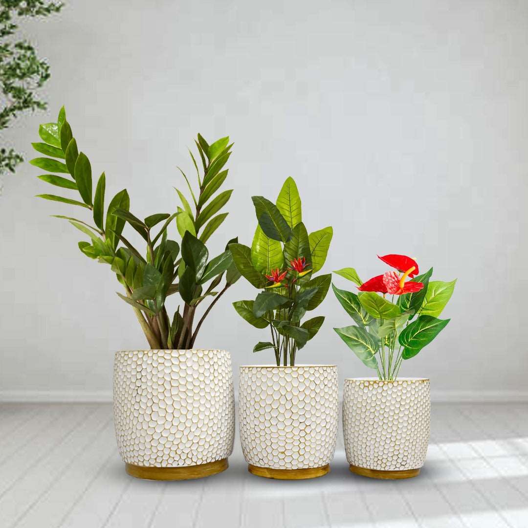 Hive Design Ceramic Flower Pots (3 Pcs Set)