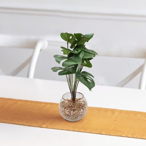 Artificial Swiss Cheese Plant With Vase