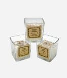 Soybean Scented Candles (12-Piece Set)