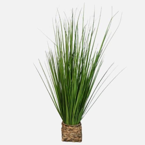 Natural Potted Grass In The Basket