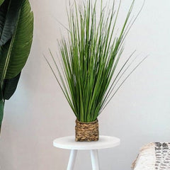 Natural Potted Grass In The Basket