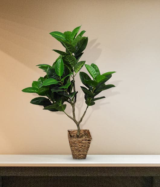 Nearly Natural Indoor Potted PlantNearly Natural Indoor Potted Plant