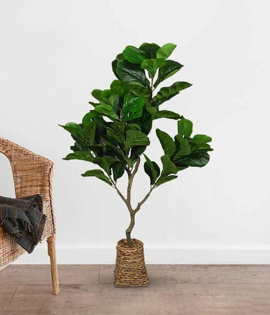 Faux Fig Plant For Indoor Décor