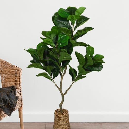Faux Fig Plant For Indoor Décor