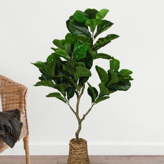 Faux Fig Plant For Indoor Décor