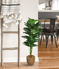 Swiss Cheese Artificial Potted Plant