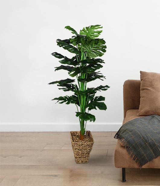 Artificial Swiss Cheese Indoor Potted Plant