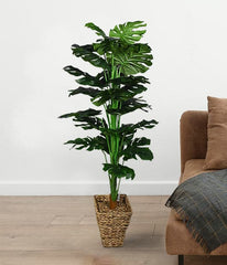 Artificial Swiss Cheese Indoor Potted Plant