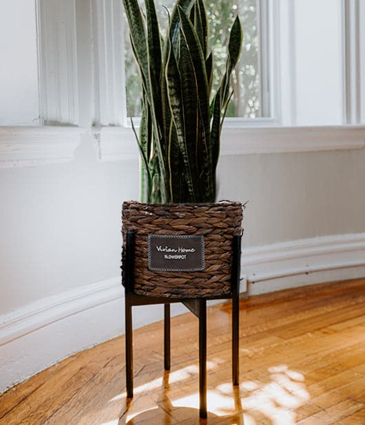 Handwoven Flower Basket With Black Stand