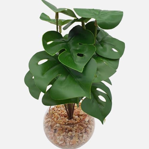 Artificial Swiss Cheese Plant With Vase